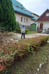 08_uprava_zahrady.jpg||