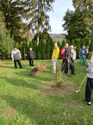 11_uprava_zahrady.jpg||