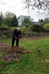 13_uprava_zahrady.jpg||