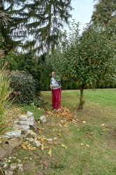 15_uprava_zahrady.jpg||