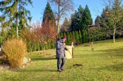 04_posledne_upravy_zahrady_pc.jpg||