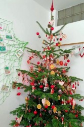 01_nas_stromcek_pc.jpg||