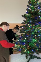 01_zdob_me_viano_n_strom_ek.jpg||