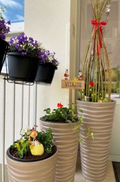 03_vnk_vyzdoba_pc.jpg||