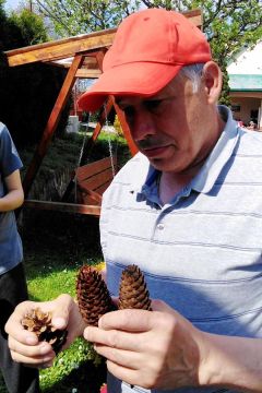 02_domcek_pre_hmyz_pc.jpg||