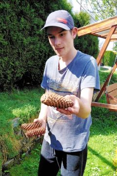 03_domcek_pre_hmyz_pc.jpg||