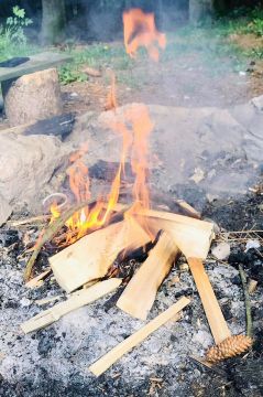 12_dopoludnie_podla_zelania_pc.jpg||