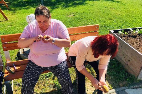 02_pomahat_nas_tesi_pc.jpg||