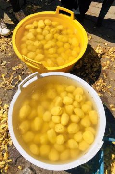 15_pomahat_nas_tesi_pc.jpg||