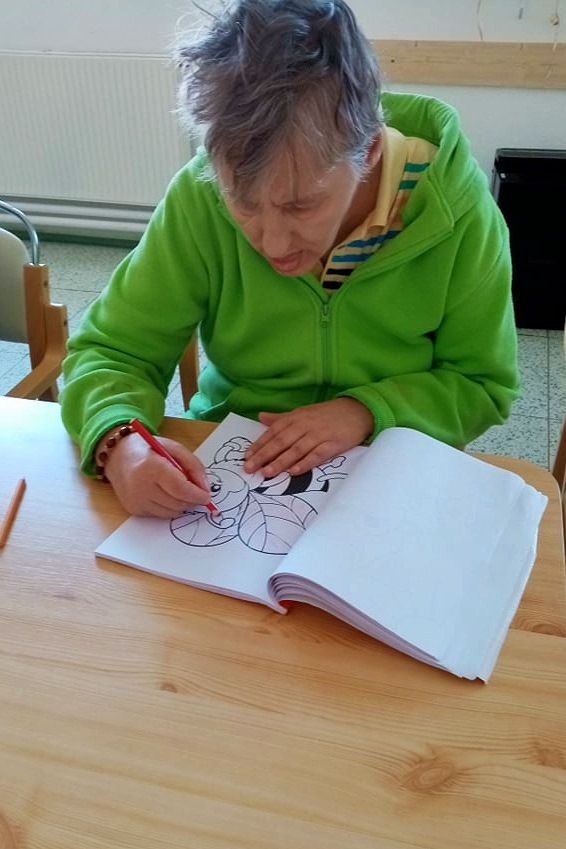 08_tvoriv_dopoludnie_pc.jpg||