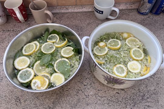 01_bazovy_sirup.jpg||