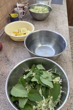 06_bazovy_sirup.jpg||
