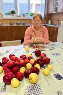 01_strudla_z_listkoveho_cesta_pc.jpg||