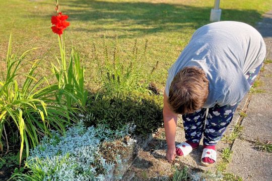 01_pracovne_dopoludnie.jpg||