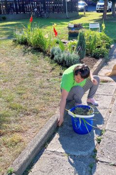 05_pracovne_dopoludnie.jpg||