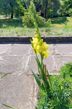 08_pracovne_dopoludnie.jpg||