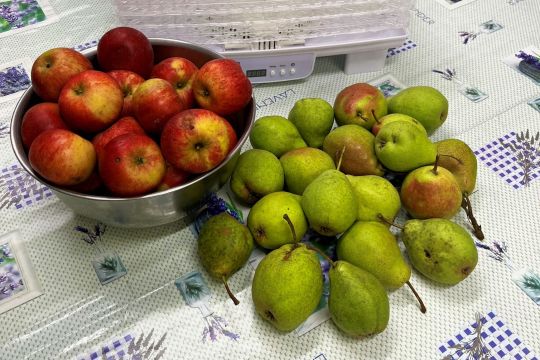 01_susime_ovocie_pc.jpg||