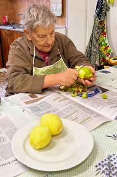 04_susime_ovocie_pc.jpg||