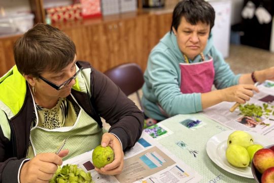 06_susime_ovocie_pc.jpg||