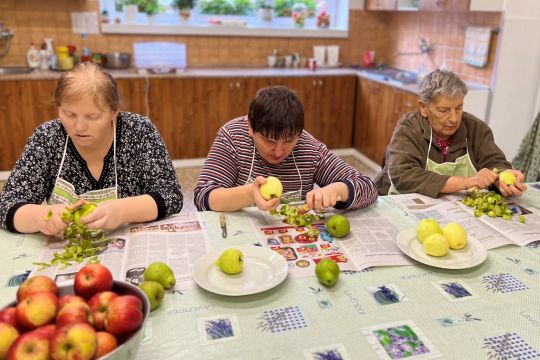 07_susime_ovocie_pc.jpg||