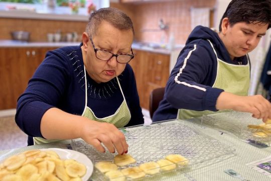 11_susime_ovocie_pc.jpg||