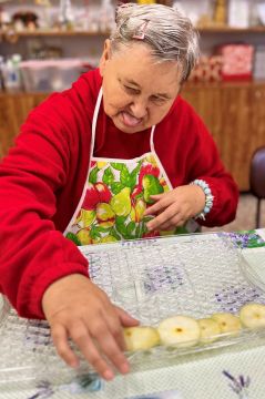 13_susime_ovocie_pc.jpg||