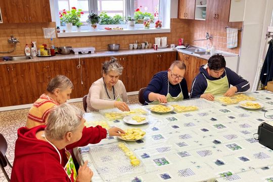 14_susime_ovocie_pc.jpg||