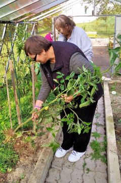 01_pracovna_terapia_pc.jpg||