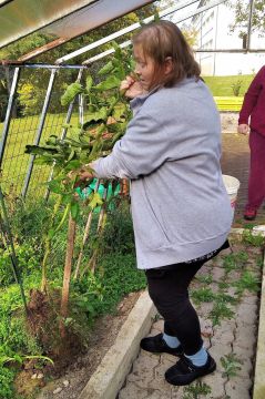 02_pracovna_terapia_pc.jpg||