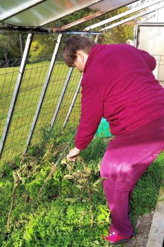 04_pracovna_terapia_pc.jpg||