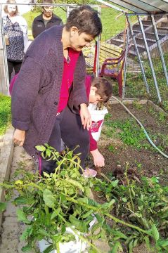 05_pracovna_terapia_pc.jpg||