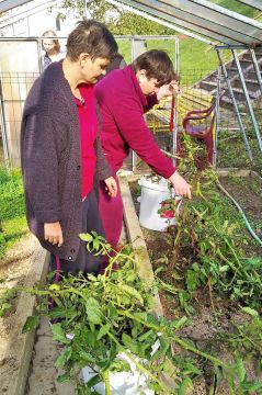 06_pracovna_terapia_pc.jpg||