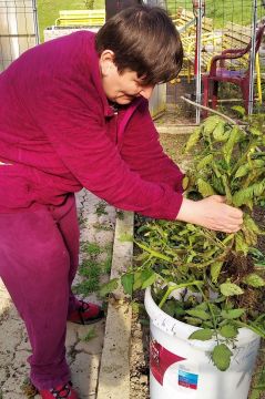 07_pracovna_terapia_pc.jpg||