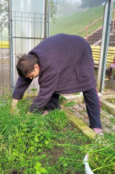 09_pracovna_terapia_pc.jpg||