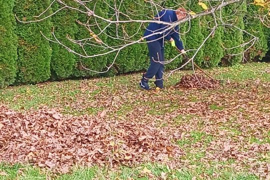 04_prace_v_zahrade_pc.jpg||