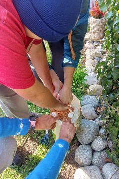 06_jezkovia_pc.jpg||