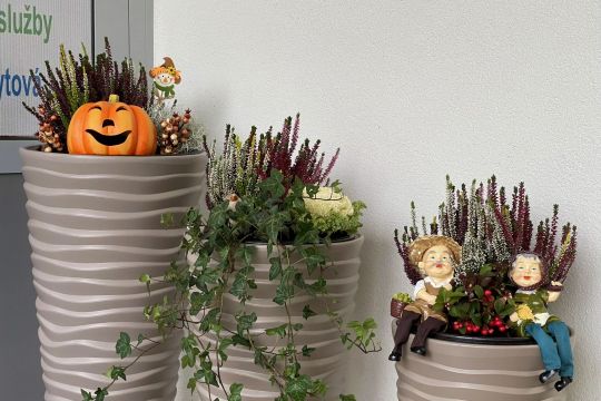 11_jesenn_v_zdoba_pc.jpg||