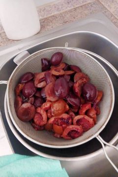 03_slivkov_kol_pc.jpg||