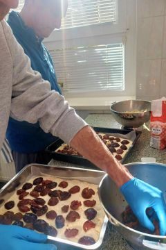 08_slivkov_kol_pc.jpg||