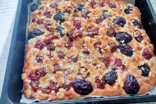 11_slivkov_kol_pc.jpg||