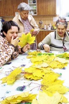 09_javor_kytica_pc.jpg||