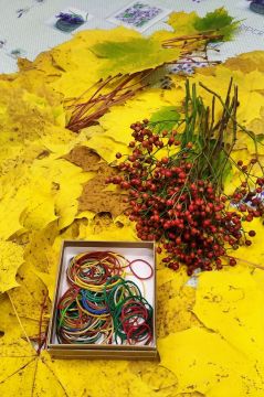 17_javor_kytica_pc.jpg||