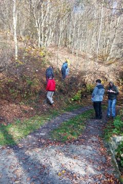 13_prech_dzka_les_pc.jpg||