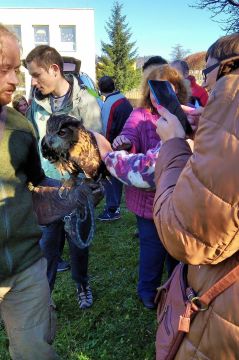 05_sokoliari_pc.jpg||