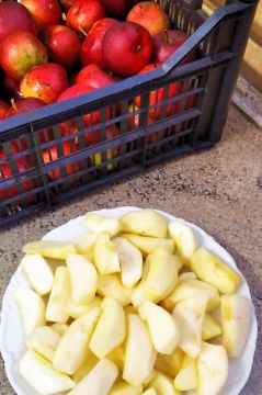 11_zber_jablk_pc.jpg||