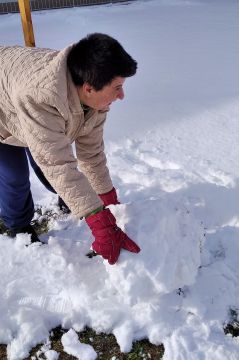 13_snehuliak_pc.jpg||