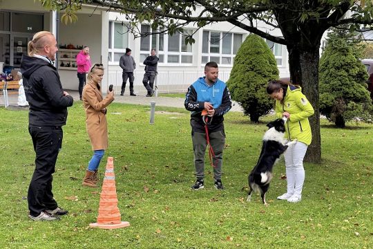 08_psikovia_pc.jpg||