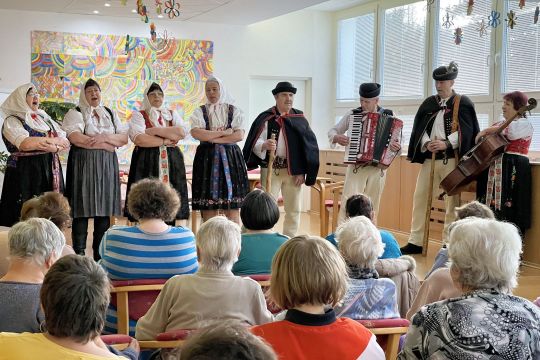 01_fs_vaj_ovci_pc.jpg||