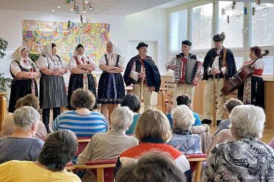 03_fs_vaj_ovci_pc.jpg||