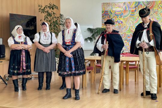 05_fs_vaj_ovci_pc.jpg||